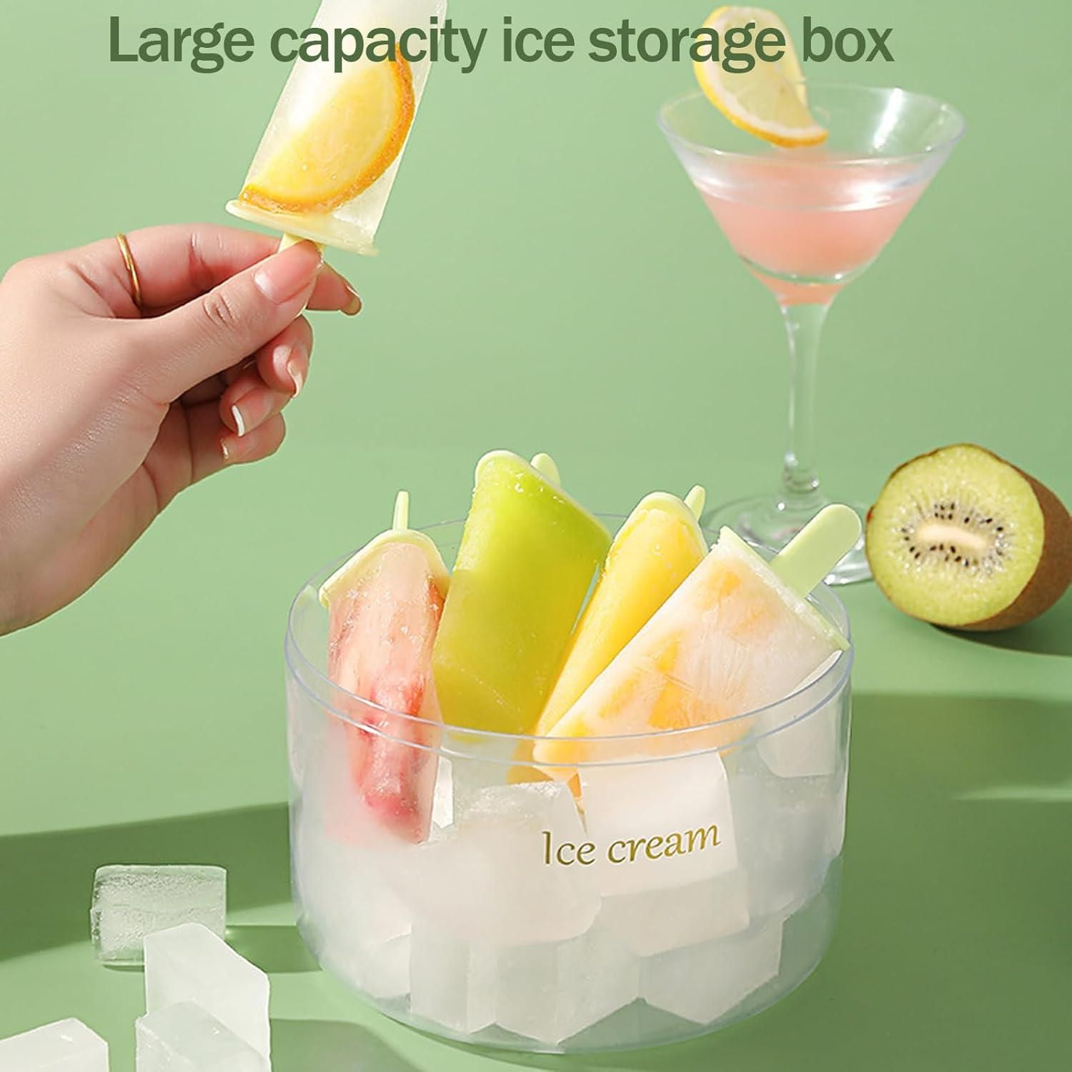 Ice Pop Mould